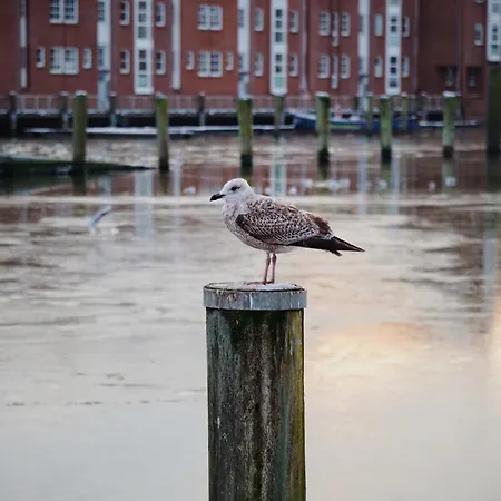 Appartement Ferienhus #2 Nordfriesland *
